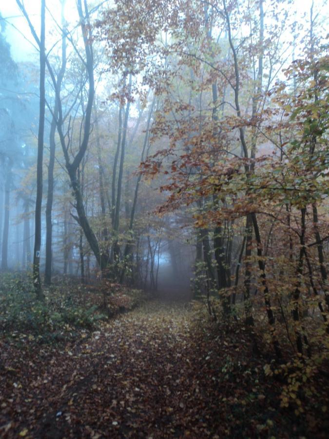 The Fennef Διαμέρισμα Bourglinster Εξωτερικό φωτογραφία
